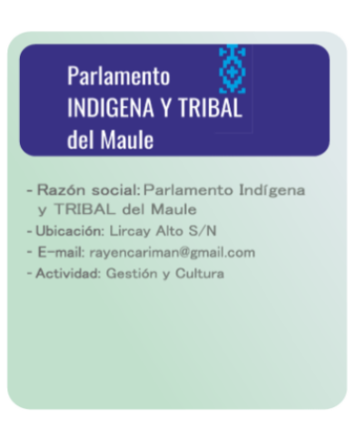 Parlamento-INDIGENA-Y-TRIBAL-del-Maule (5)